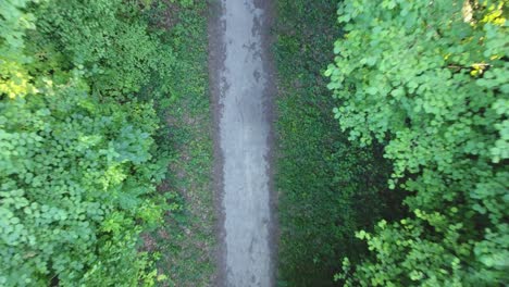 Aerial-vertical-view-of-a-hardwood-forest-path-in-France.